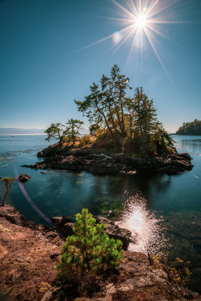 East Sooke Park Seascape